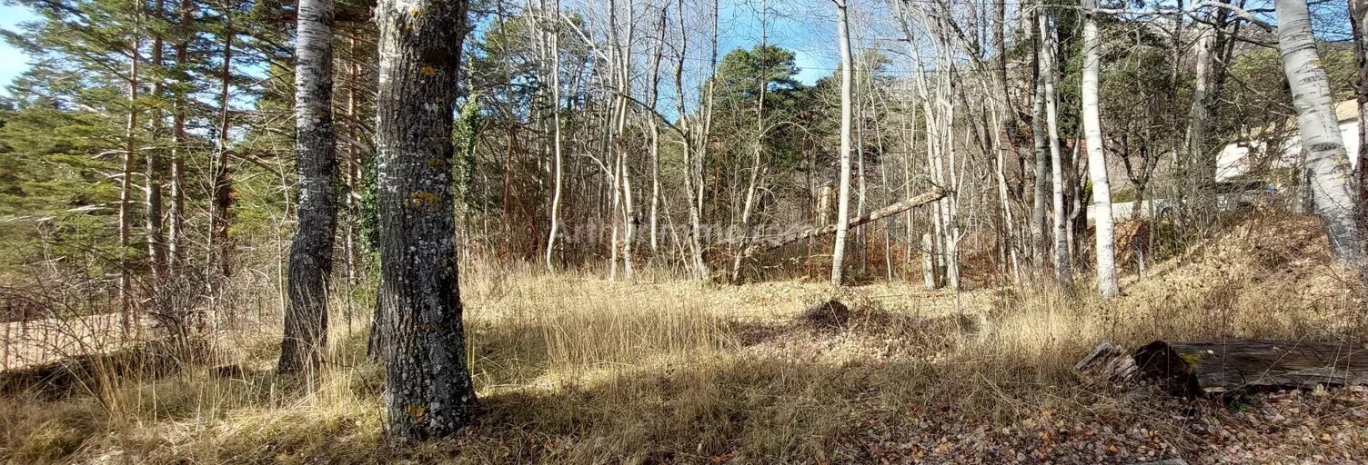 Terrain  1370 m² à vendre à Andon (06750)