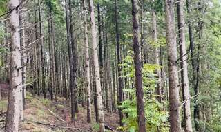 Terrain  16280 m² à vendre à Prémian (34390)