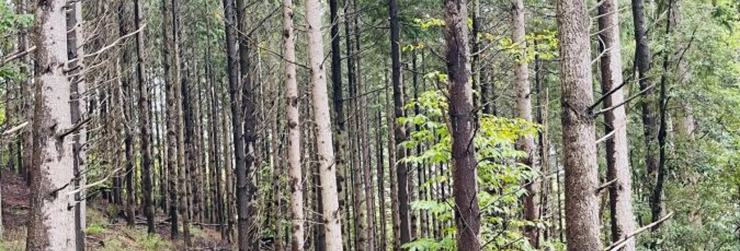 Terrain  16280 m² à vendre à Prémian (34390)