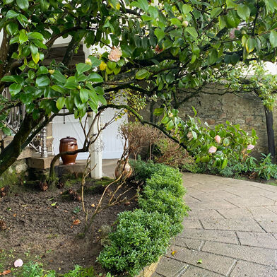 Maison 7 pièces 815100 €