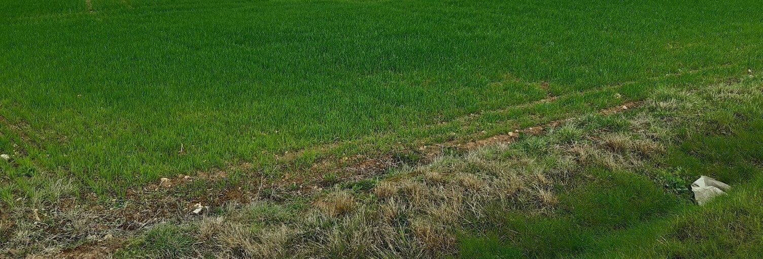 Terrain  24600 m² à vendre à Nancras (17600)