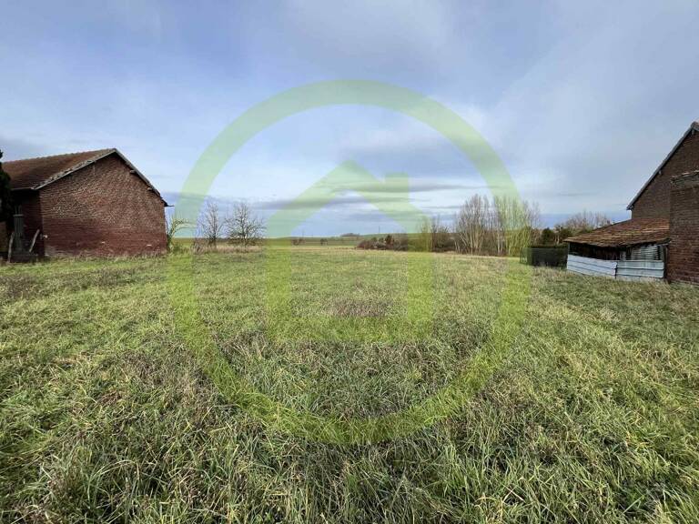 Terrain — photo 1
