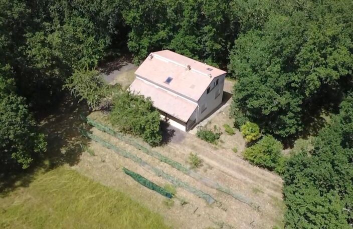 Propriété rare à vendre — photo 3
