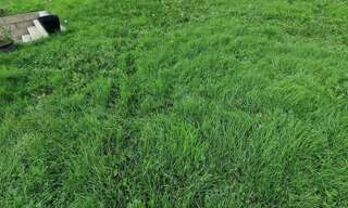 Terrain  470 m² à vendre à Morangis (91420)