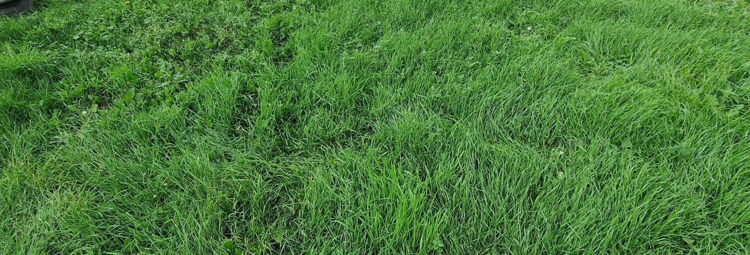 Terrain  470 m² à vendre à Morangis (91420)