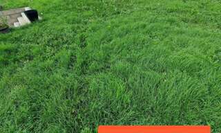 Terrain  470 m² à vendre à Morangis (91420)