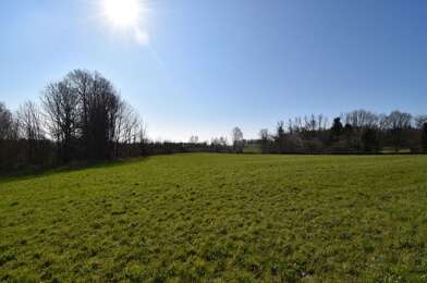 Terrain  56000 €