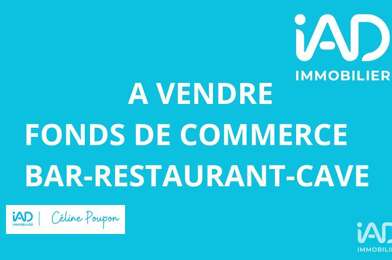Commerce  228000 €