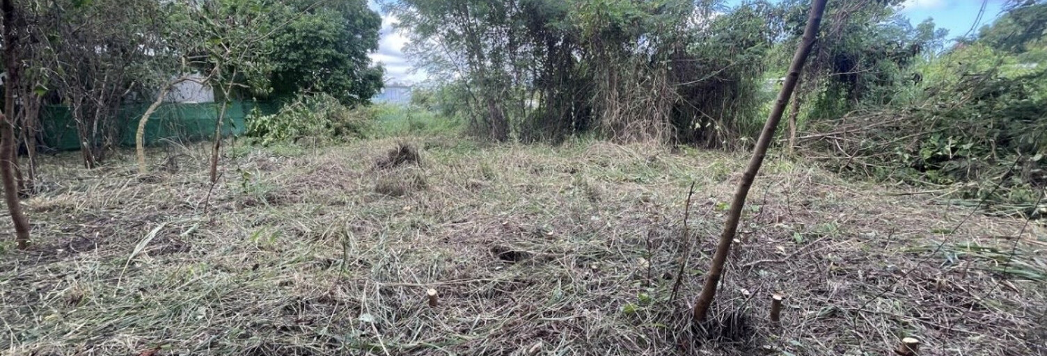 Terrain  1138 m² à vendre à Saint-François (97118)