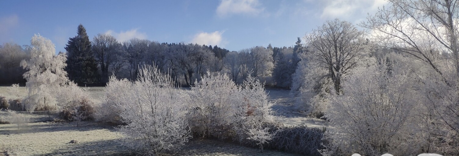 Maison 4 Pièces 299 m² à vendre à Brousse (63490)