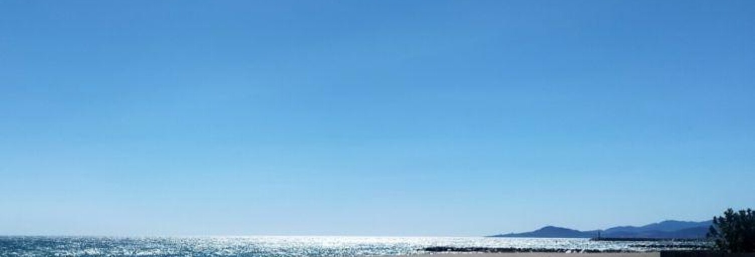 Commerce  120 m² à vendre à Canet-en-Roussillon (66140)