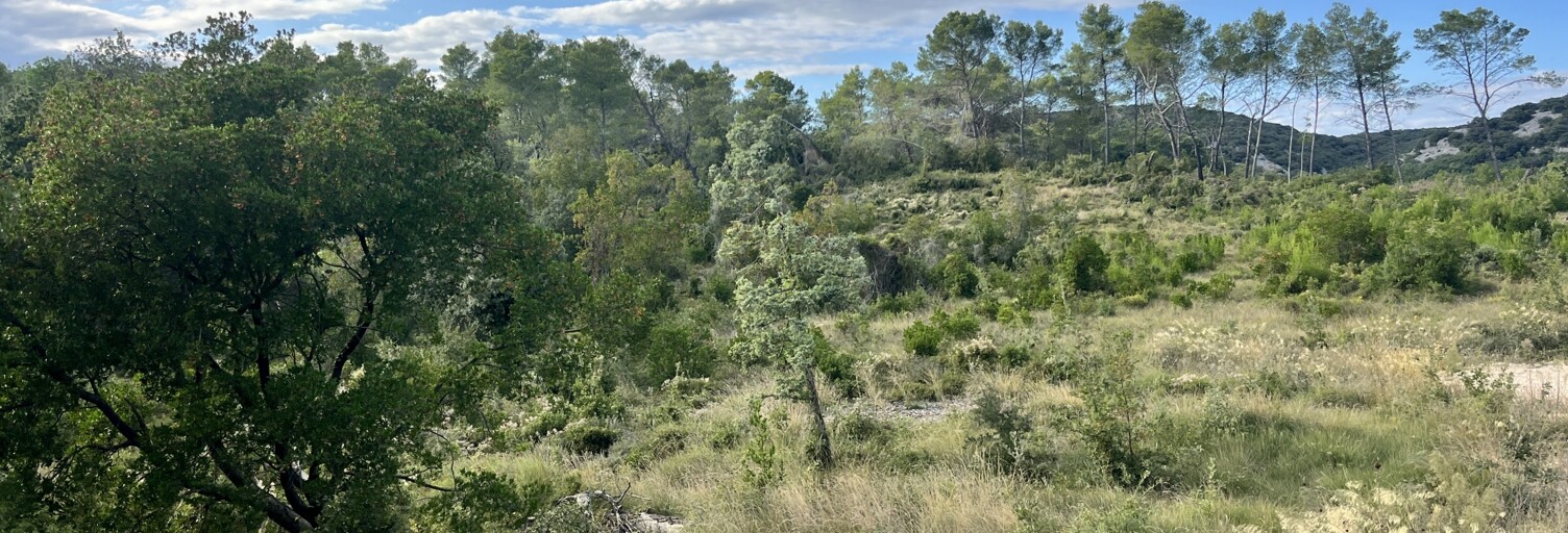 Terrain  1050 m² à vendre à Aigaliers (30700)