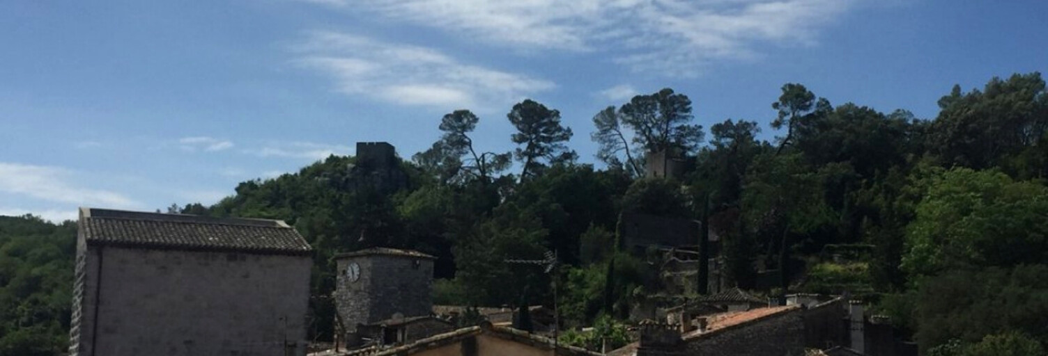 Maison 6 Pièces 285 m² à vendre à Sauve (30610)