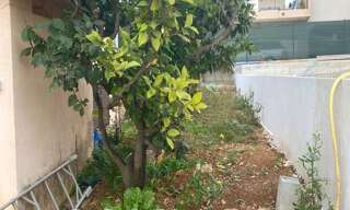 Appartement 2 Pièces 39 m² à vendre à Vallauris (06220)