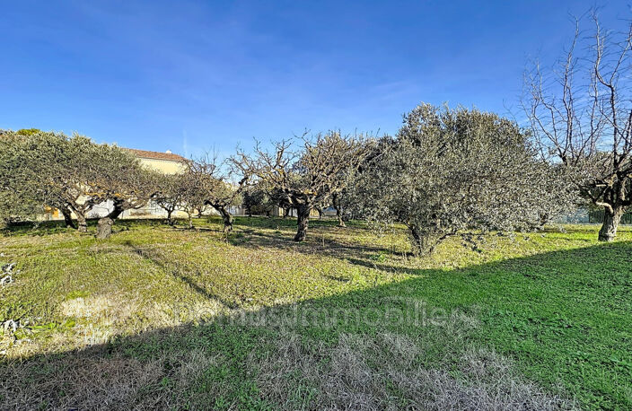 vente maison 5 Pièce(s) — photo 4