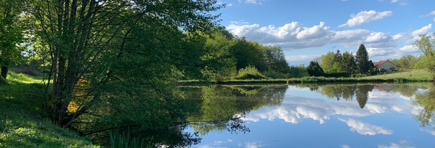 Maison  20347 m² à vendre à Lanouaille (24270)