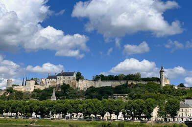 Maison 7 pièces 220000 €