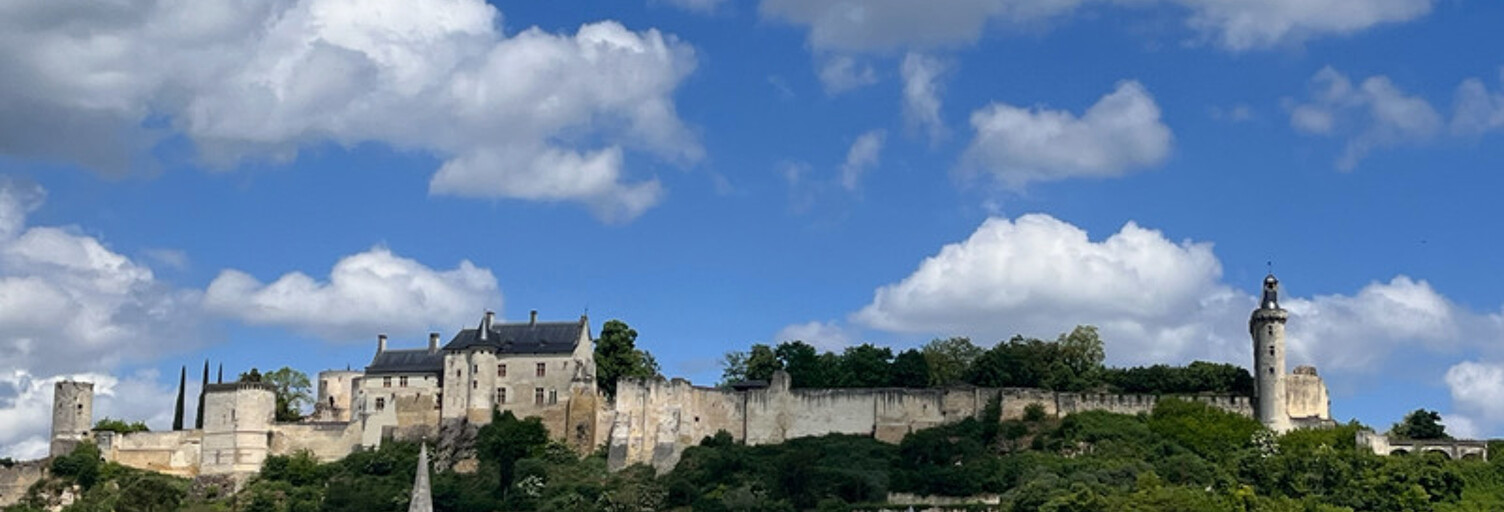 Maison 7 Pièces 110 m² à vendre à Chinon (37500)