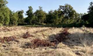 Terrain  550 m² à vendre à Sadirac (33670)