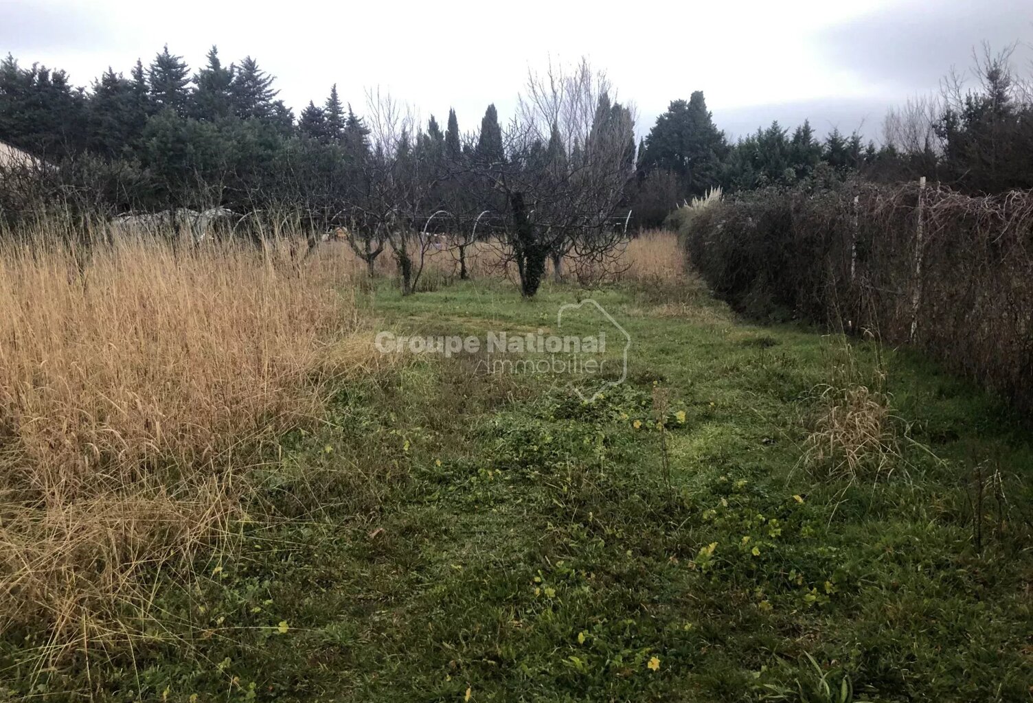Terrain constructible — photo 1