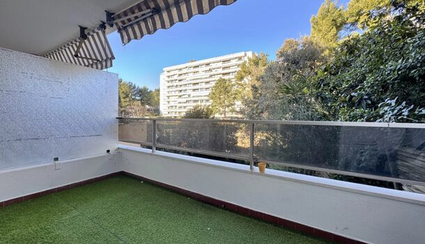 Appartement  à louer Marseille 8eme 13008