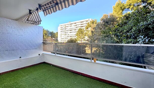 Appartement  à louer Marseille 8eme 13008