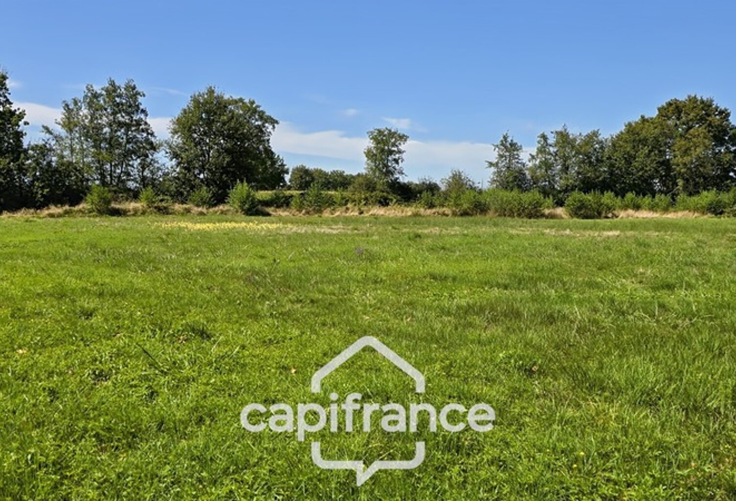 A vendre terrain de 7726 m² à SAINT GERMAIN DU BOIS (71) — photo 1