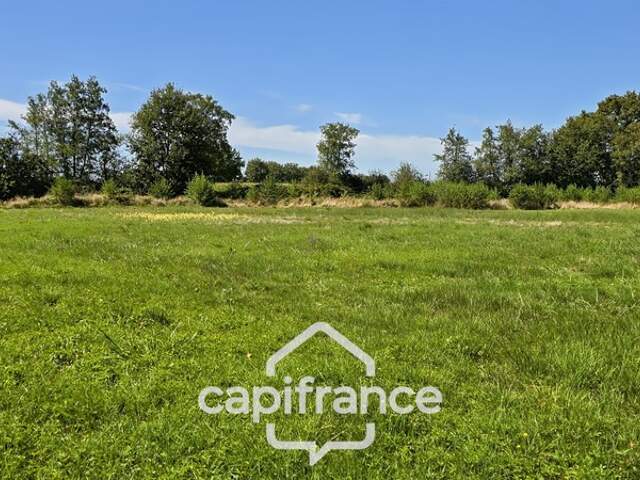 A vendre terrain de 7726 m² à SAINT GERMAIN DU BOIS (71) — photo du bien