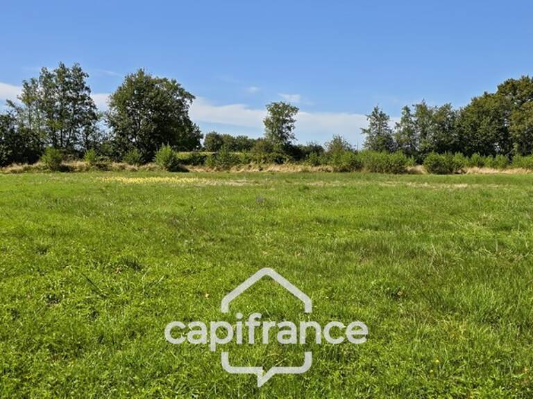 A vendre terrain de 7726 m² à SAINT GERMAIN DU BOIS (71) — photo 1
