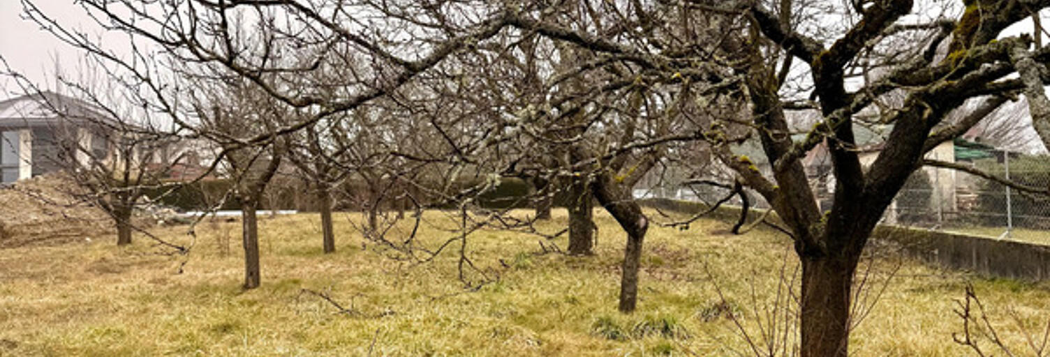 Terrain  1162 m² à vendre à Prévessin-Moëns (01280)