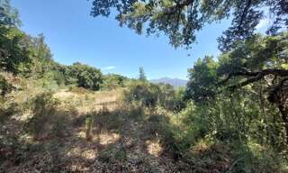 Terrain  2366 m² à vendre à Riventosa (20250)