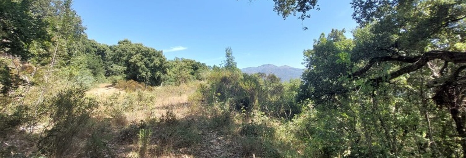 Terrain  2366 m² à vendre à Riventosa (20250)