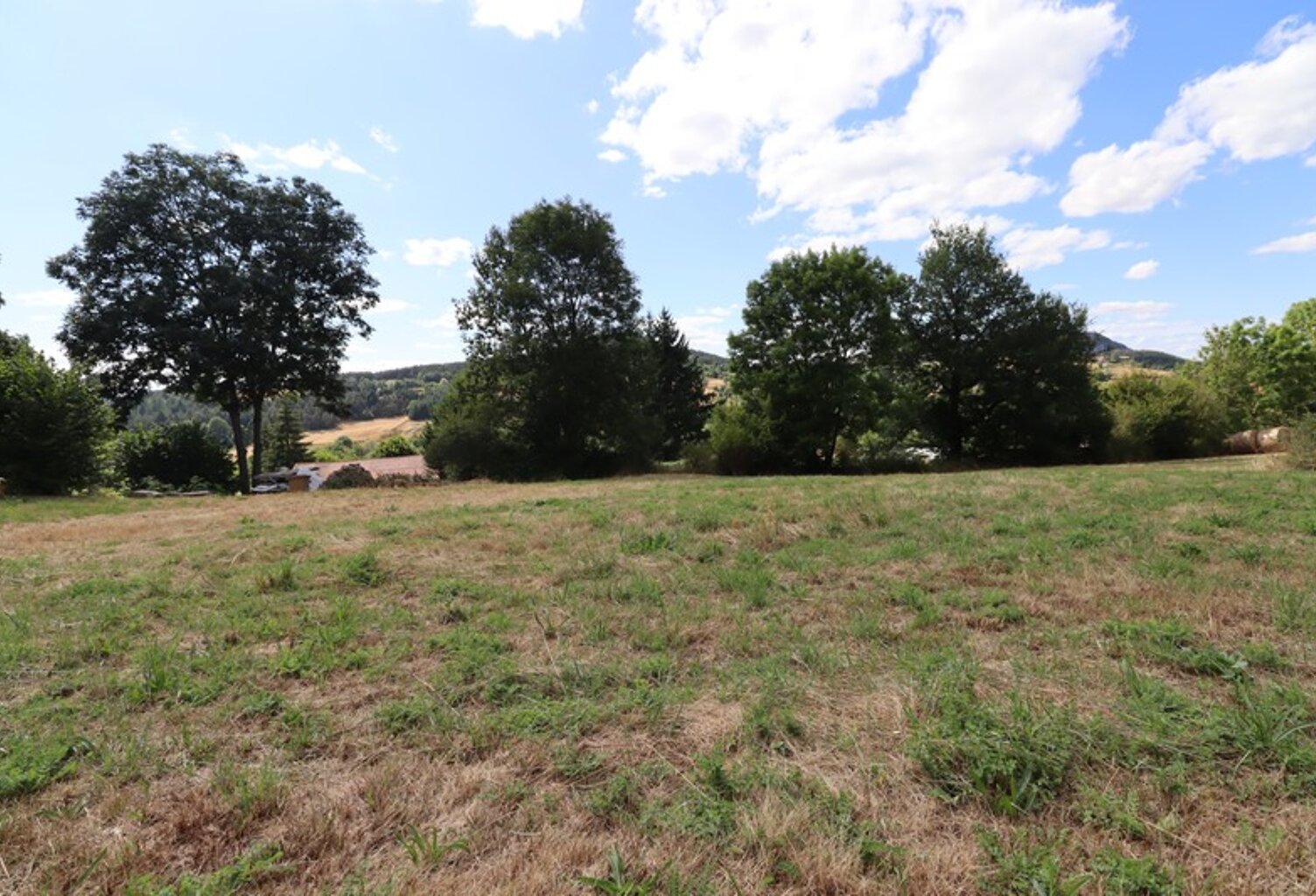 À vendre en Haute-Loire –  Terrain à bâtir de 3 683 M2 viabilisé — photo 1