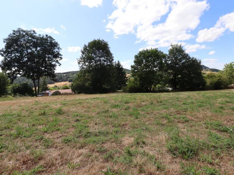À vendre en Haute-Loire –  Terrain à bâtir de 3 683 M2 viabilisé — photo 1