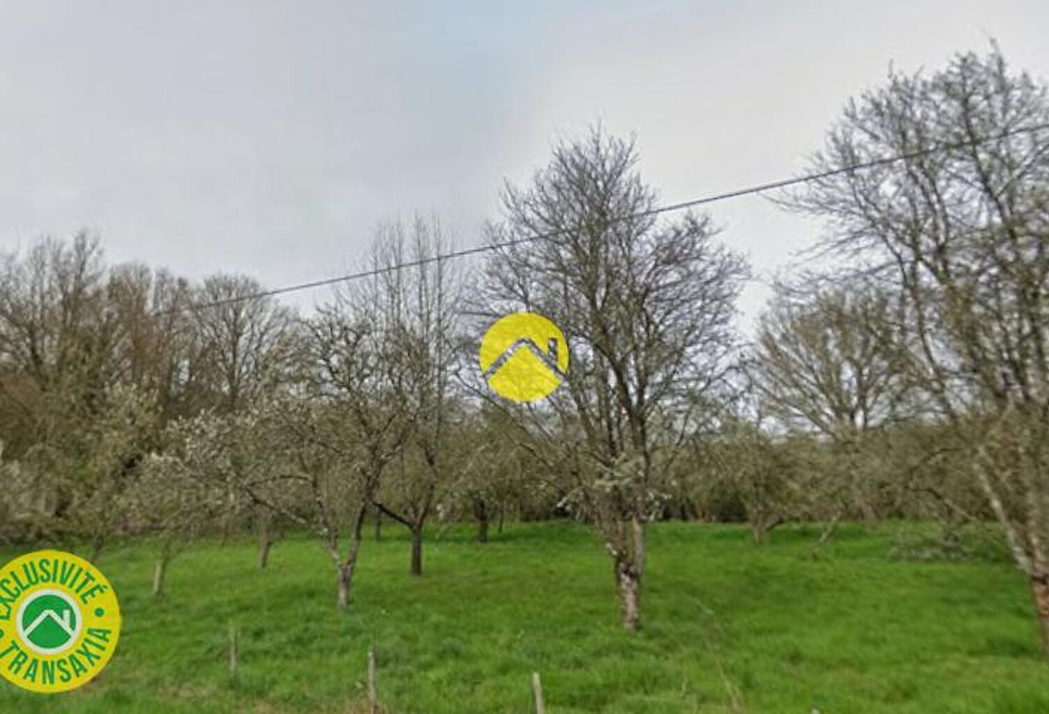 TERRAIN DE LOISIRS — photo 1