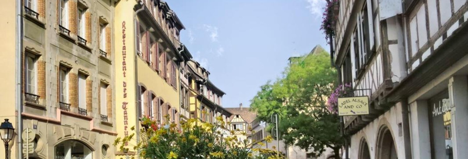 Appartement 3 Pièces 75 m² à louer à Colmar (68000)