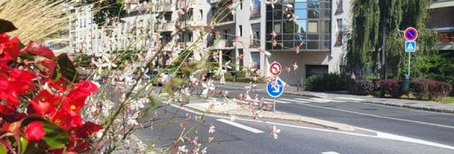 Appartement 2 Pièces 48 m² à louer à Melun (77000)