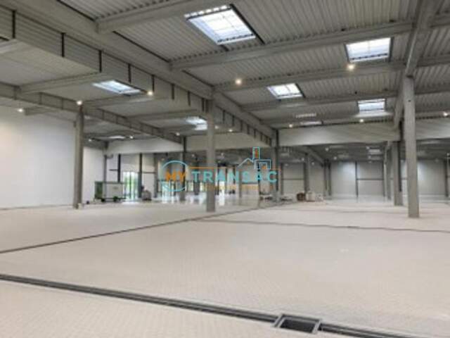 A LOUER 6 088 m² d’activités et de bureaux divisibles à partir de 2 964 m² à Sucy-en-brie — photo du bien