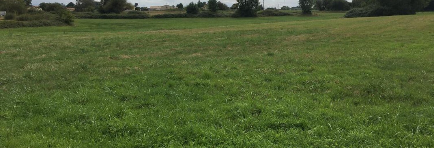 Terrain 1127 m² à construire Gauriaguet (33240)