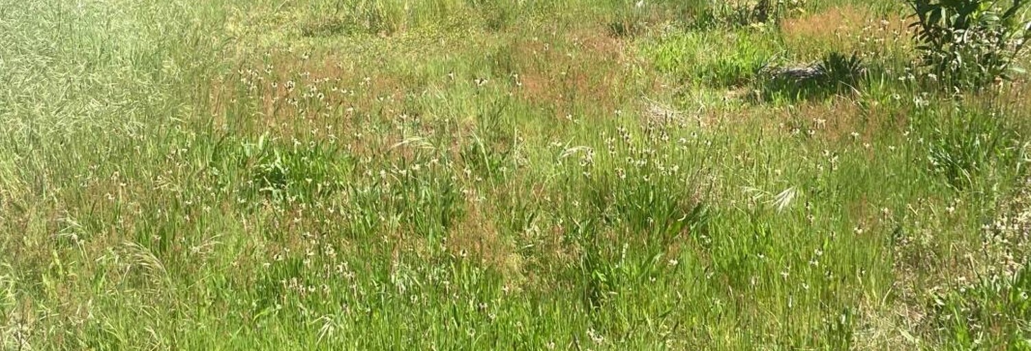 Terrain 600 m² à construire Hostens (33125)