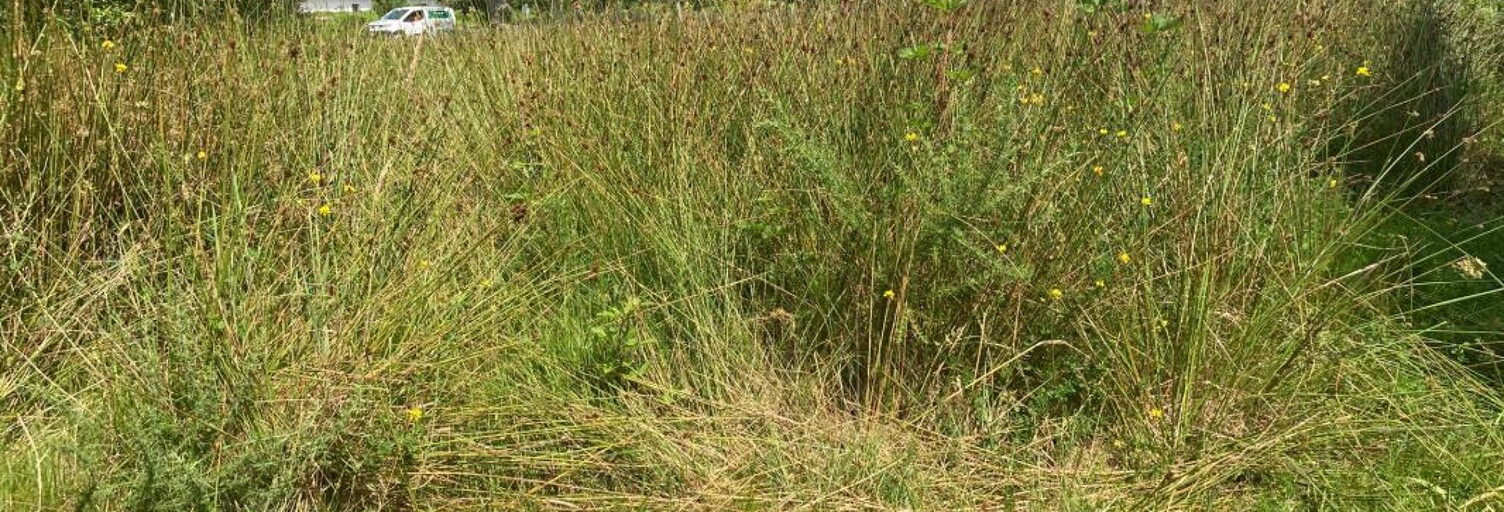 Terrain 1500 m² à construire Mios (33380)