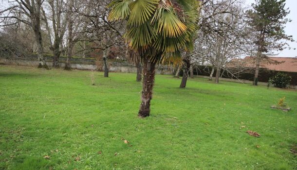 Terrain  à vendre Siros 64230