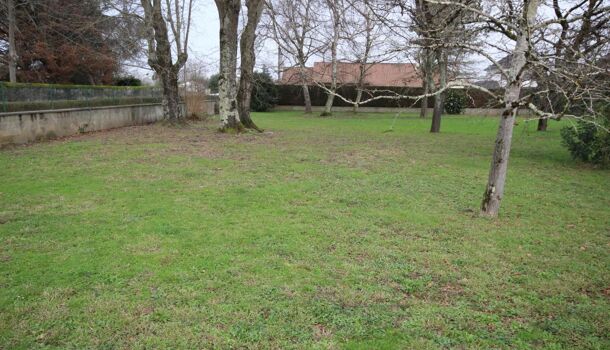 Terrain  à vendre Siros 64230