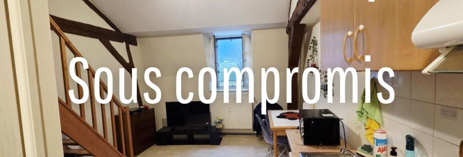 Appartement 1 Pièce 28 m² à vendre à Mende (48000)