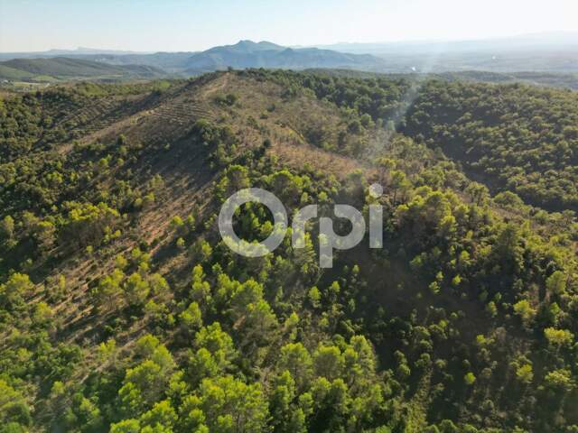 Terrain non constructible à vendre — photo du bien