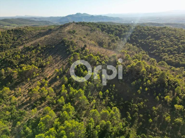 Terrain non constructible à vendre — photo 1