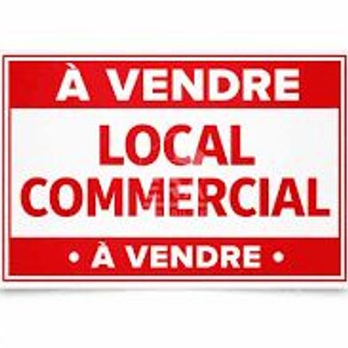 Commerce  223000 €