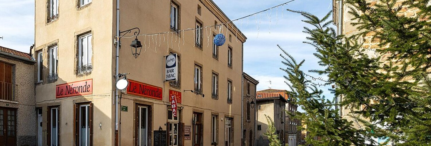 Immeuble  270 m² à vendre à Néronde (42510)