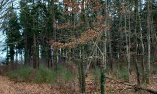 Maison  31200 m² à vendre à Saint-Père-sur-Loire (45600)