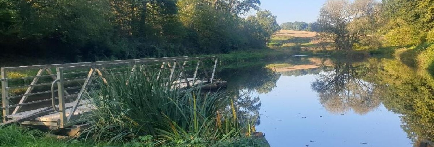 Terrain  21498 m² à vendre à Saint-Léonard-de-Noblat (87400)